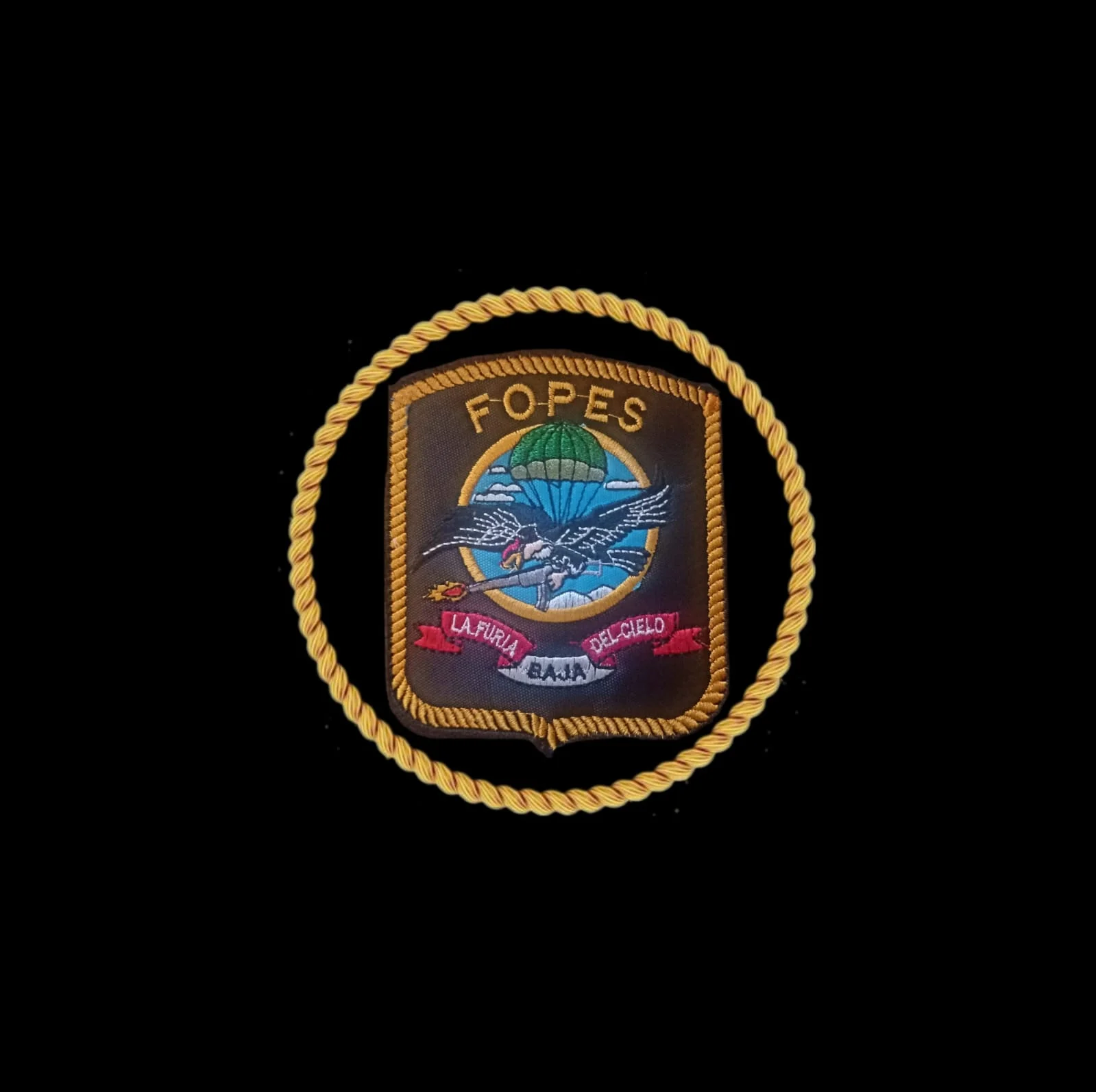 Asociación de Licenciados Paracaidistas